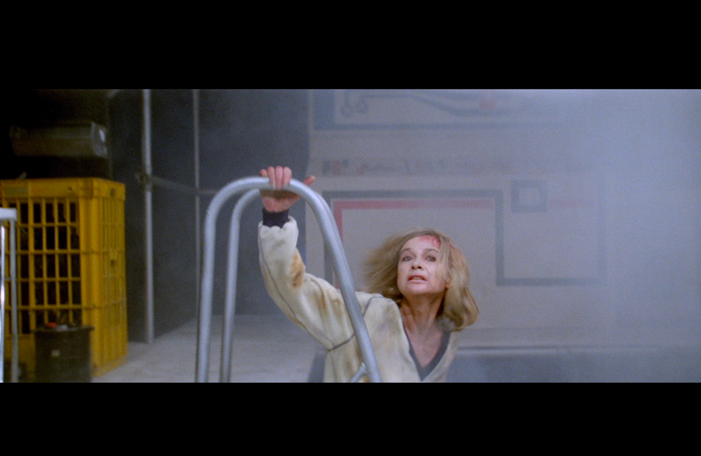 The Shadow of the Raven