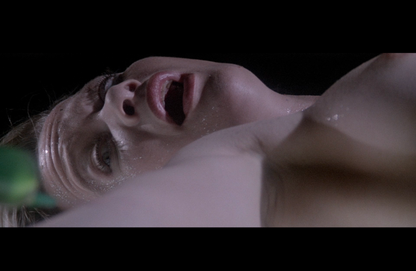 The Shadow of the Raven