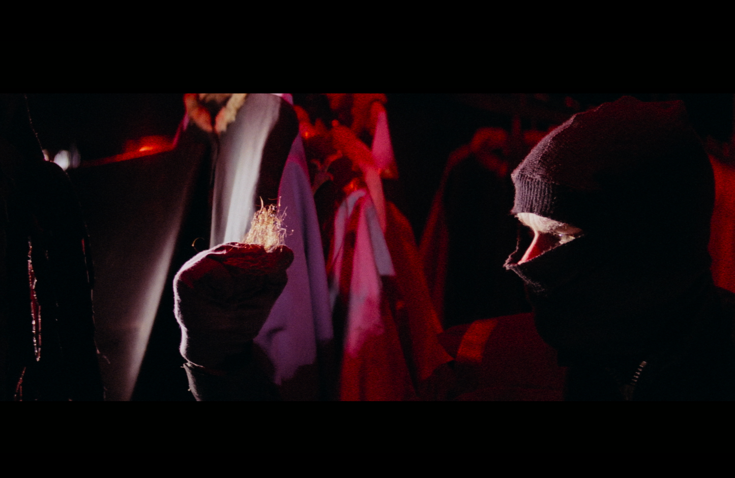 The Shadow of the Raven