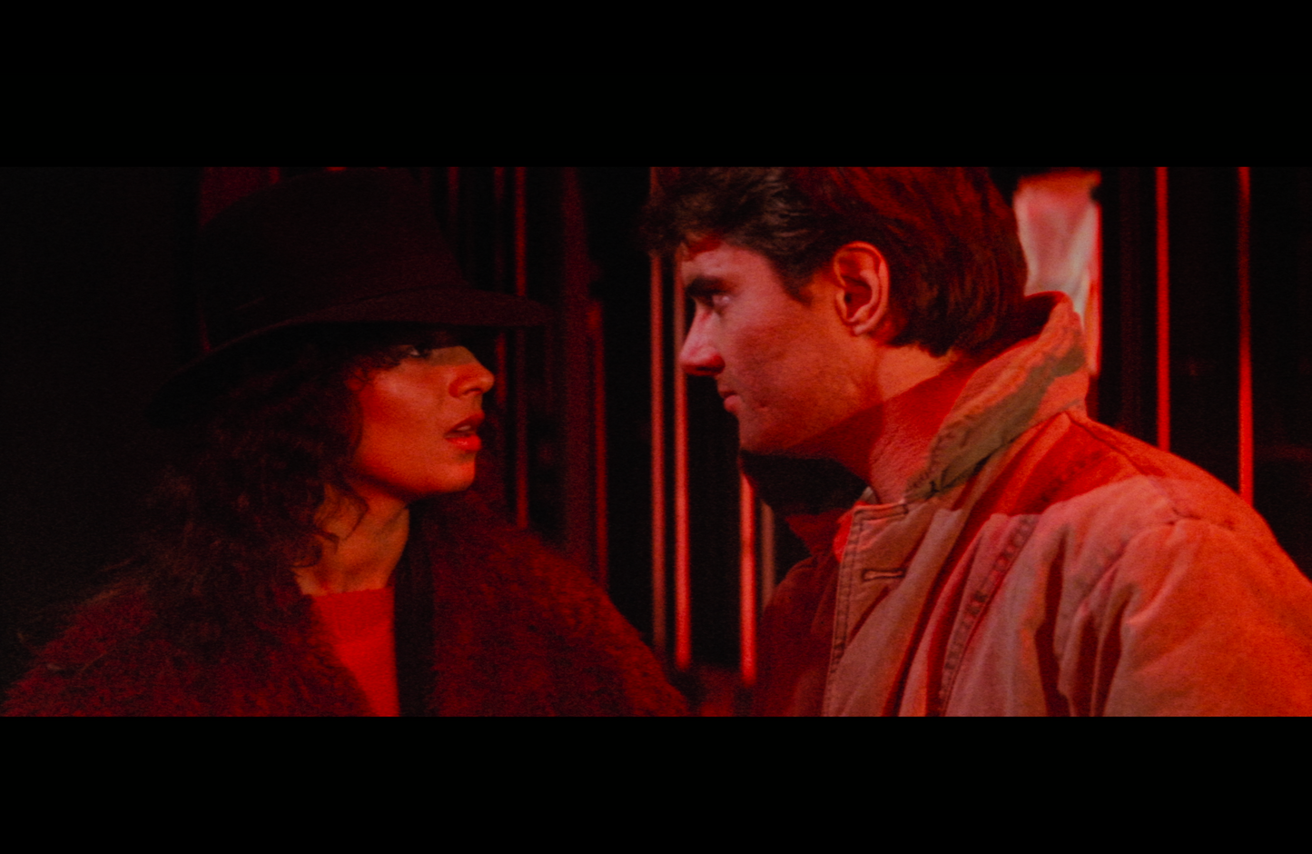 The Shadow of the Raven