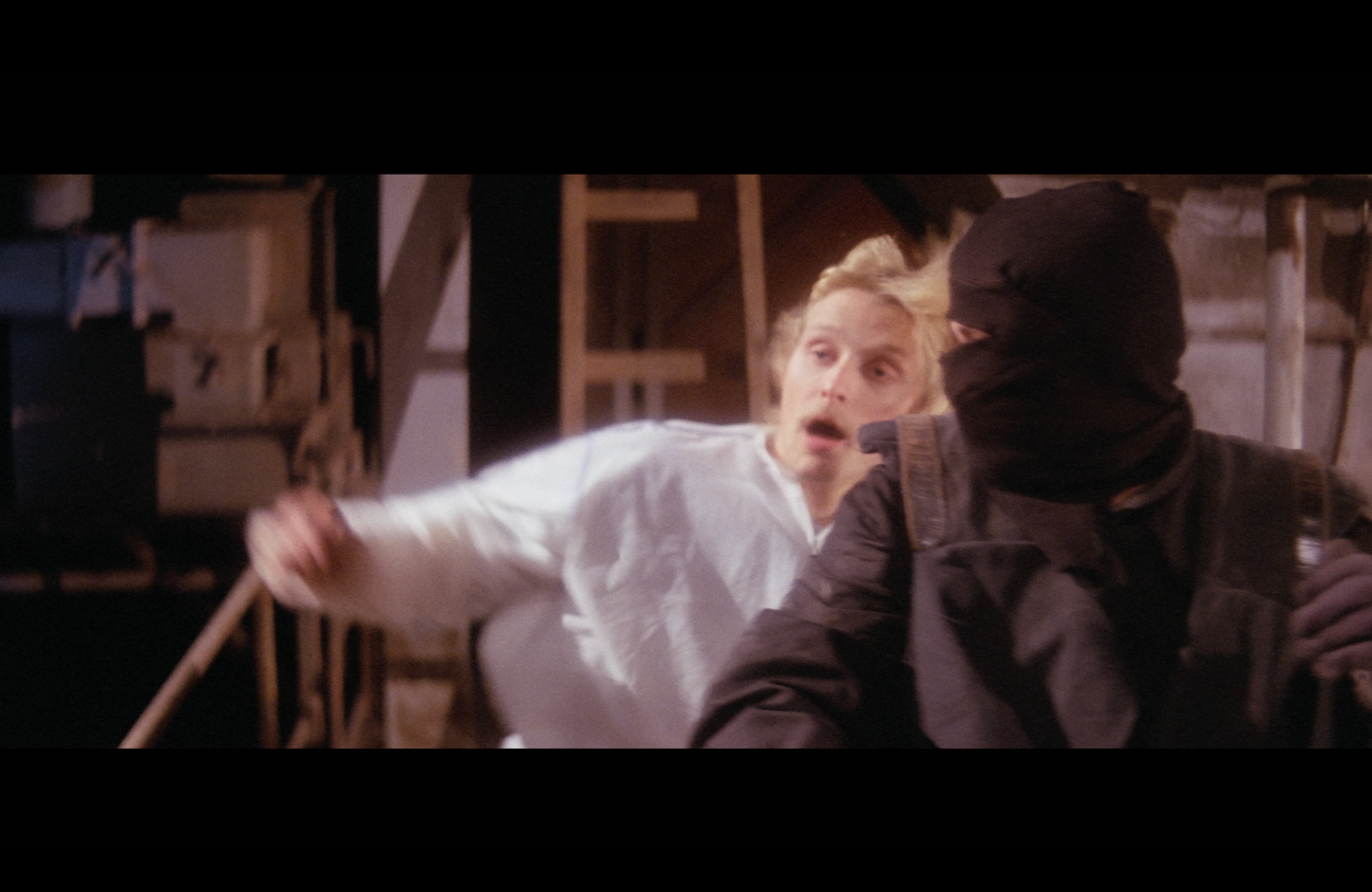 The Shadow of the Raven