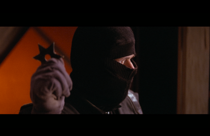 The Shadow of the Raven