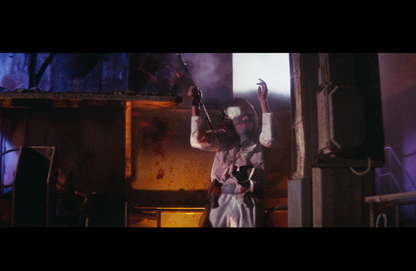 The Shadow of the Raven