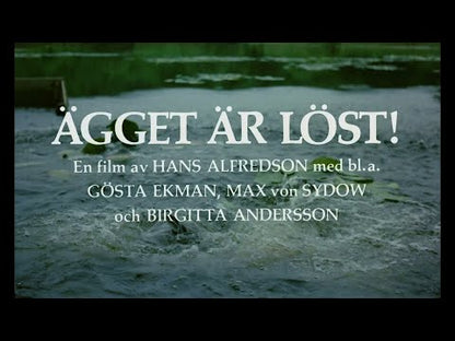 Ägget är löst!