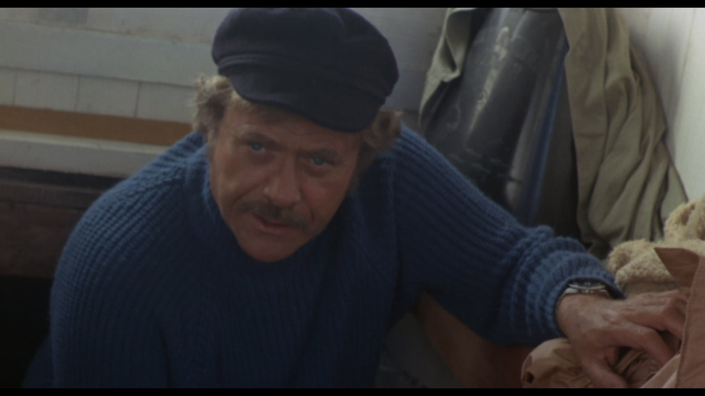 Jättehajen – vindsurfarnas skräck (Nyrestaurerad Limited special edition)