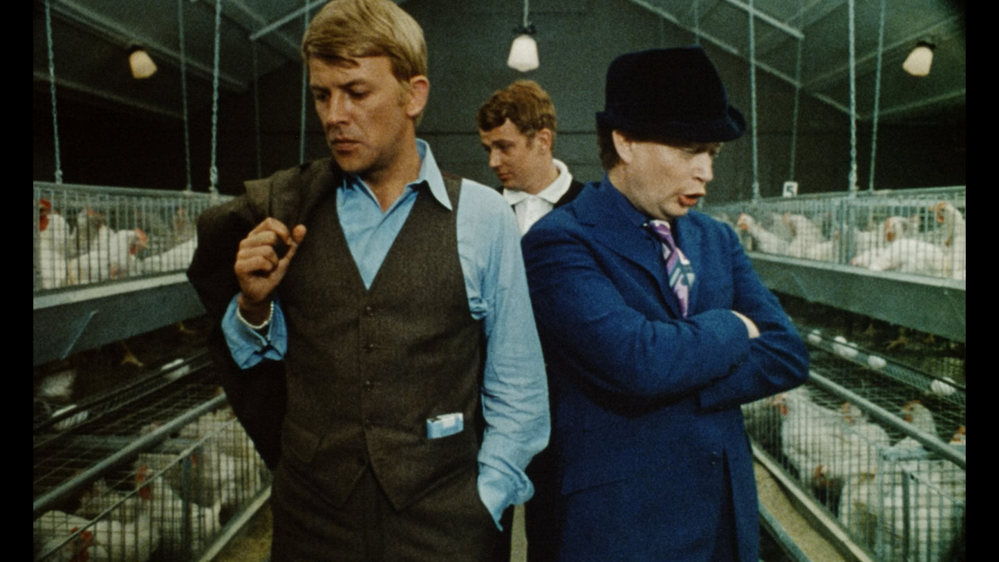 SVENSKA KULTKLASSIKER VOL. 1 (Nyrestaurerad special edition, 2 filmer)